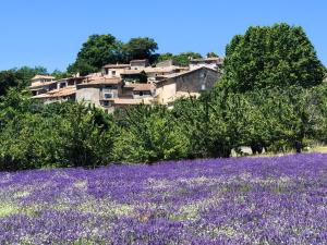 Maisons de vacances La Pommerie en Luberon : photos des chambres