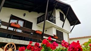 ПАУНОВАТА КЪЩА