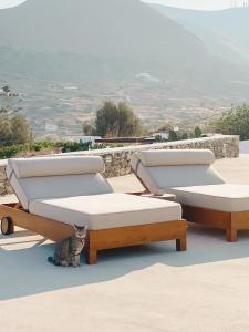 Pino di Loto Boutique Bed & Breakfast