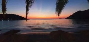 ΑRILLA STUDIOS - 波帝卡