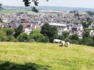Appartements Honfleur-loft : photos des chambres