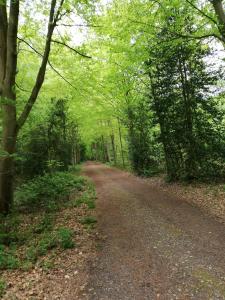 Appartements Honfleur-loft : photos des chambres