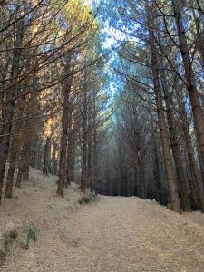 Fazenda Rodeio Bonito
