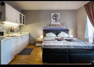 Apartman Zara Superior