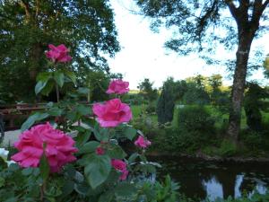 B&B / Chambres d'hotes Le Moulin du Bignon : photos des chambres