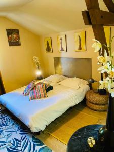Sejours chez l'habitant LE HAVANA-Maison d'hotes : photos des chambres