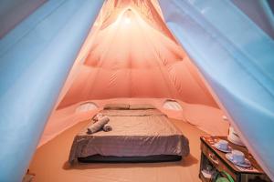 ภูชวนหลง ม่อนแจ่ม