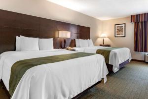 Queen Room with Two Queen Beds room in Quality Inn & Suites
