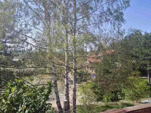 Apartman pogled Zlatibor