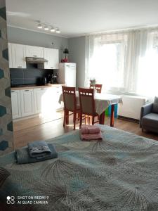 Apartament przy Tężniach