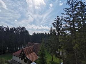 Apartman Jevtic Zlatibor