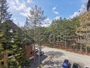 Apartman Jevtic Zlatibor