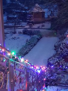 Sadyba Medova nasoloda