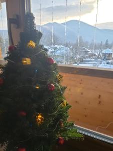 Sadyba Medova nasoloda