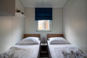 Iguana - Das Tiny Haus am Reptilienzoo Reptilium