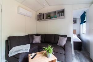 Iguana - Das Tiny Haus am Reptilienzoo Reptilium