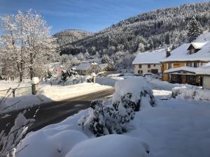 Maisons de vacances Le Valtinet, sejour esprit montagne : photos des chambres