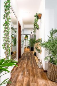 Avenue View Rooms