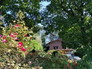 Les Sittelles - Tilff - Chaudfontaine