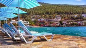 Zena Hotel Bodrum Guvercinlik Booking Deals Photos Reviews