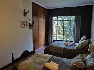 Drakensberg Bush Lodge and Backpackers