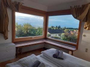 Ferienwohnung Bodenseeblick