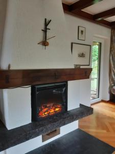 Ferienwohnung Bodenseeblick