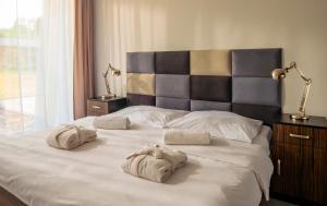 Deluxe Double Room with Extra Bed room in Termy Warmińskie