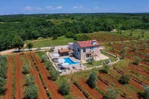 Relax house surrounded by olives and vineyard 