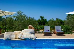 Relax house surrounded by olives and vineyard 