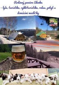 Penzion Alenka - Krausovy Boudy