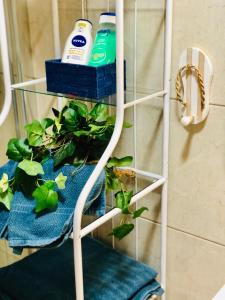 Shanti, La Casa Azul