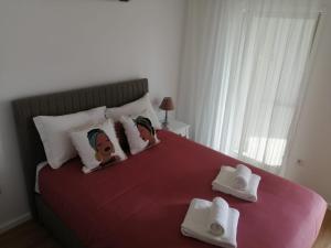 Bairro da Apresentação no coração de Aveiro