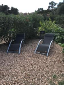 Appart'hotels Bungalows Filippi : photos des chambres