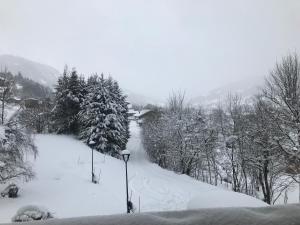 CHALET " JEANE " proche centre