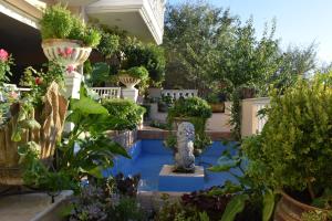 Five stars in Trikala