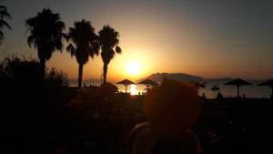 MANTZARIS APPARTMENTS