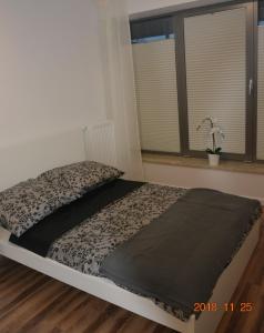 Apartament Royal Place Jurowiecka 19