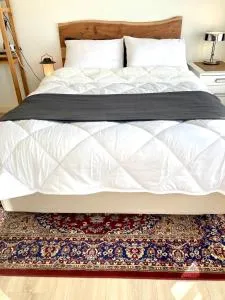 Rooftop View - Bilthoven