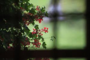 Landgasthof Ruedihus