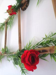 Le 1965 Double BALNEO, confort et romantique