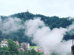 Shimla Pines Homestay - Shimla