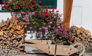 Ferienwohnung Flora Altaussee - Your Austrian Home