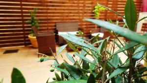 Argo Maisonettes & Suites