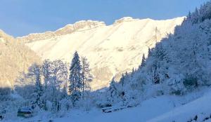 Chalets Chalet Marie : photos des chambres
