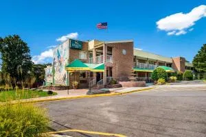 芒特弗农品质旅馆 - 伍德布里奇