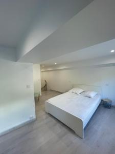 Appartements Loft ravissant a 5 mn de la Basilique Notre Dame de Fourviere : photos des chambres