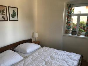 Apartmán DUO Plešivec