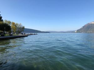 Superbe appartement au centre de St Jorioz
