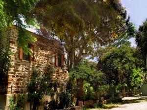 Clio apartments Chios-Island Greece